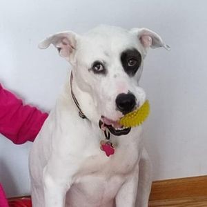 Meet your Posher, Debbie